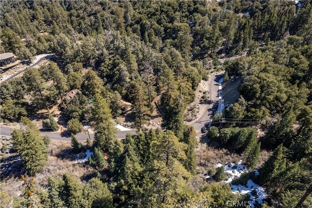 1300 Banff Dr, Pine Mountain Club, CA 93222 - photo 24