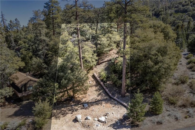 1300 Banff Dr, Pine Mountain Club, CA 93222 - photo 29