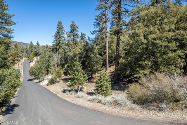 1300 Banff Dr, Pine Mountain Club, CA 93222 - photo 30