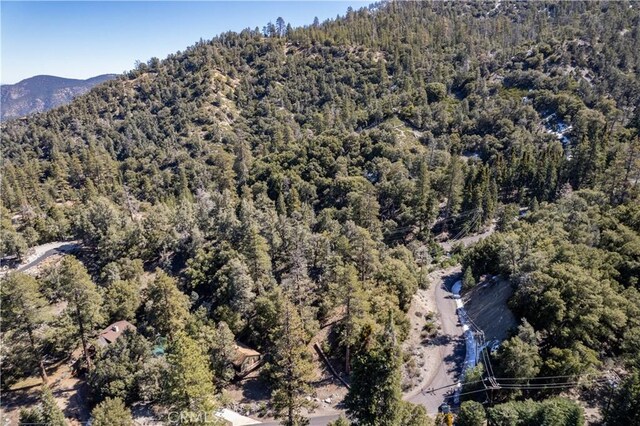 1300 Banff Dr, Pine Mountain Club, CA 93222 - photo 9