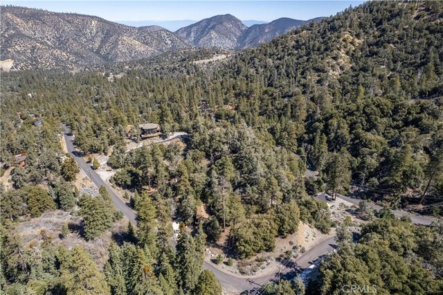 1300 Banff Dr, Pine Mountain Club, CA 93222 - photo 13