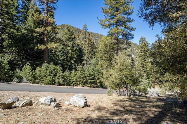 1300 Banff Dr, Pine Mountain Club, CA 93222 - photo 5