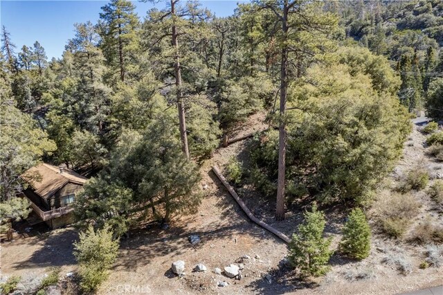 1300 Banff Dr, Pine Mountain Club, CA 93222 - photo 28