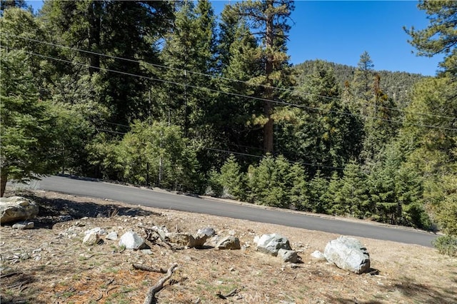 1300 Banff Dr, Pine Mountain Club, CA 93222 - photo 3