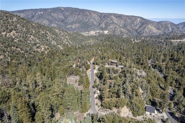 1300 Banff Dr, Pine Mountain Club, CA 93222 - photo 19