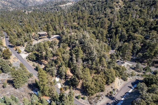 1300 Banff Dr, Pine Mountain Club, CA 93222 - photo 11