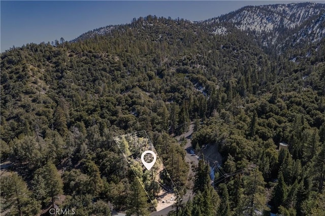1300 Banff Dr, Pine Mountain Club, CA 93222 - photo 25