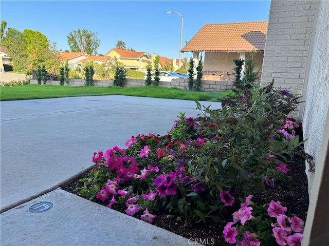 135 Ricci Ave, Walnut, CA 91789 - view of green lawn featuring a residential view