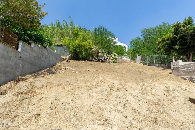 3538 Sierra St, Los Angeles, CA 90031 - view of yard