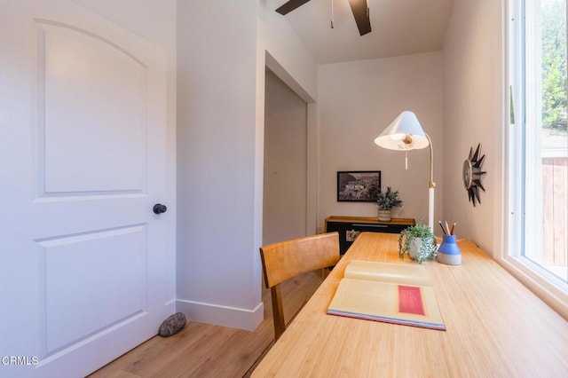3538 Sierra St, Los Angeles, CA 90031 - dining space with wood finished floors, a ceiling fan, and baseboards