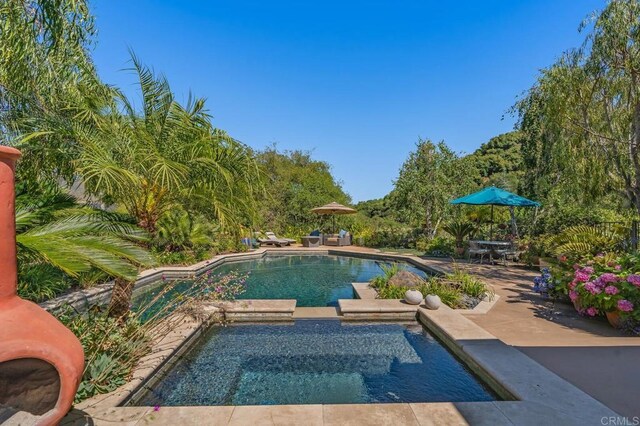4014 Millagra Dr, Fallbrook, CA 92028 - view of pool featuring a patio area and a pool with connected hot tub