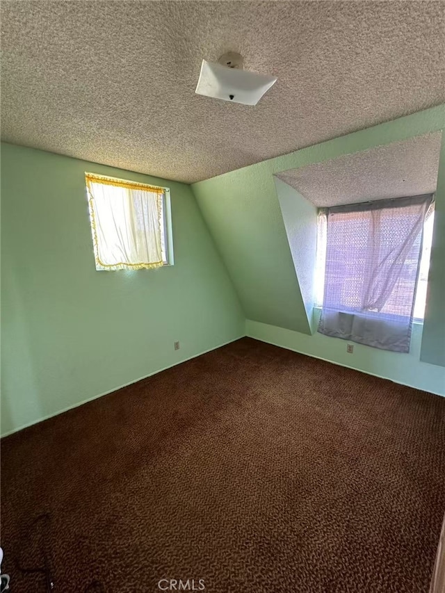 60645 Lupin Ln, Anza, CA 92539 - bonus room with dark colored carpet, lofted ceiling, and a textured ceiling