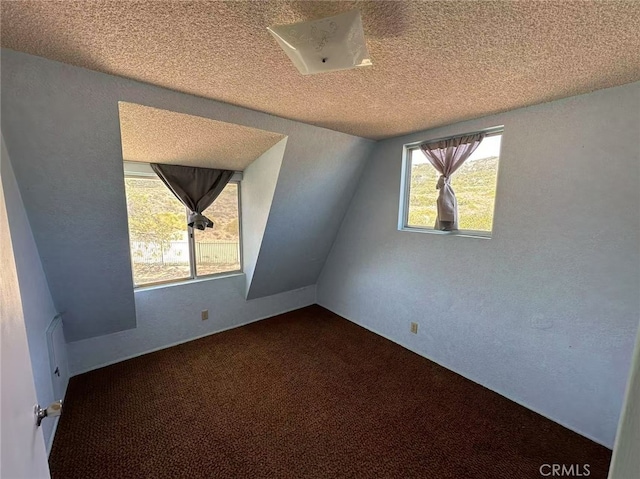 60645 Lupin Ln, Anza, CA 92539 - bonus room featuring a textured ceiling and dark carpet