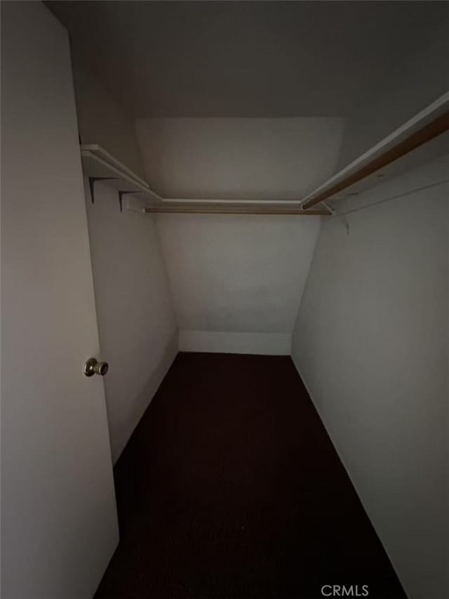 60645 Lupin Ln, Anza, CA 92539 - view of spacious closet