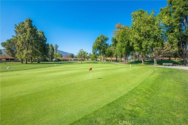 17306 Village 17, Camarillo, CA 93012 - photo 23