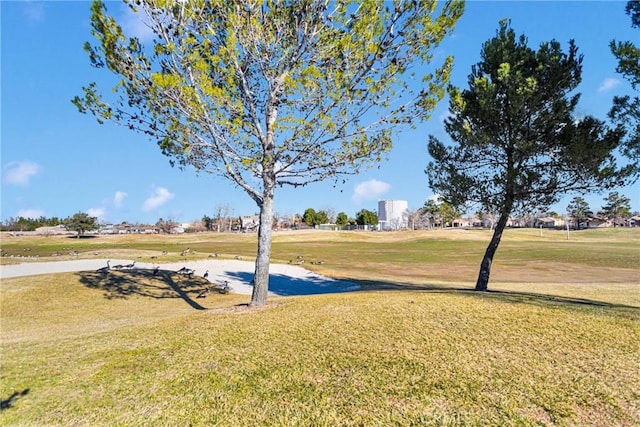 19344 Macklin St, Apple Valley, CA 92308 - view of grassy yard