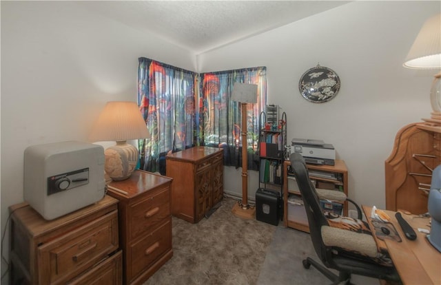 13182 Third St, Clearlake Oaks, CA 95423 - office area with carpet floors and lofted ceiling