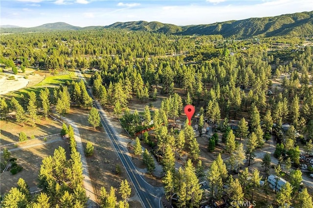 59485 State Highway 74, Mountain Center, CA 92561 - aerial overview of property's location with a mountainous background and a heavily wooded area