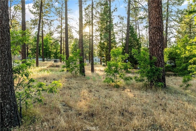 59485 State Highway 74, Mountain Center, CA 92561 - view of nature