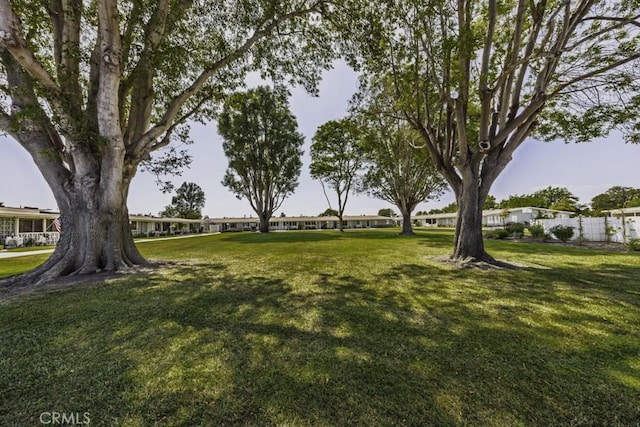 13881 Thunderbird Dr Unit M1-63E, Seal Beach, CA 90740 - view of grassy yard