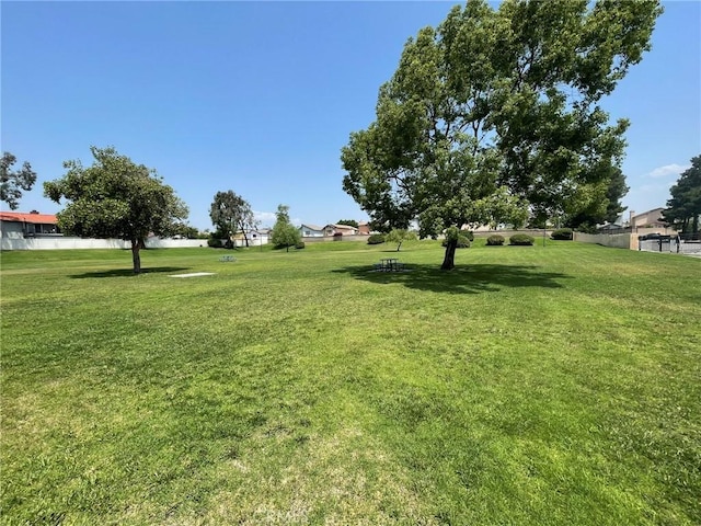 1186 Runaway Cir, Colton, CA 92324 - view of grassy yard