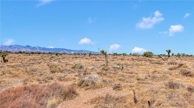 9234 E Arrowhead Rd, Phelan, CA 92371