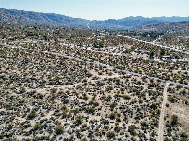 0 Big Morongo, Morongo Valley, CA 92256 - photo 13