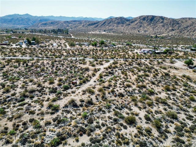 0 Big Morongo, Morongo Valley, CA 92256 - photo 12