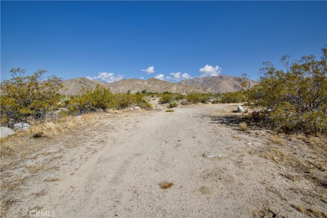 0 Big Morongo, Morongo Valley, CA 92256 - photo 17
