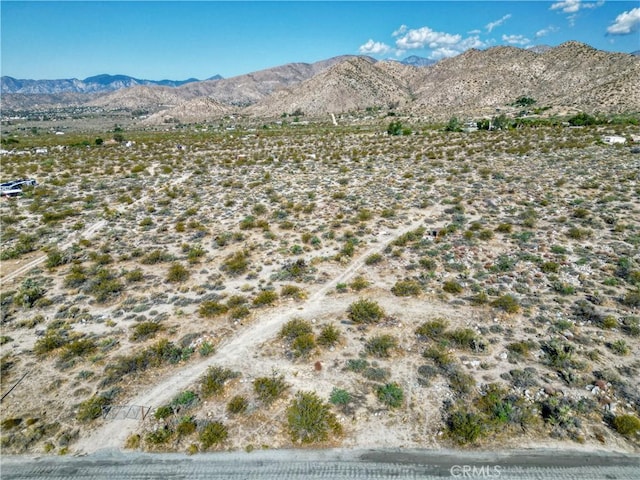 0 Big Morongo, Morongo Valley, CA 92256 - photo 6