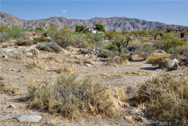 0 Big Morongo, Morongo Valley, CA 92256 - photo 15