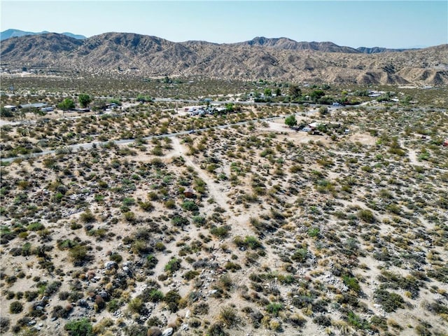 0 Big Morongo, Morongo Valley, CA 92256 - photo 11