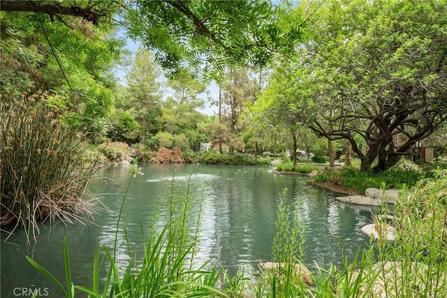 4900 E Chapman Ave Unit 102, Orange, CA 92869 - water view