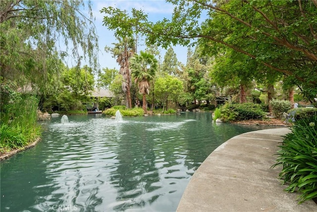 4900 E Chapman Ave Unit 102, Orange, CA 92869 - water view
