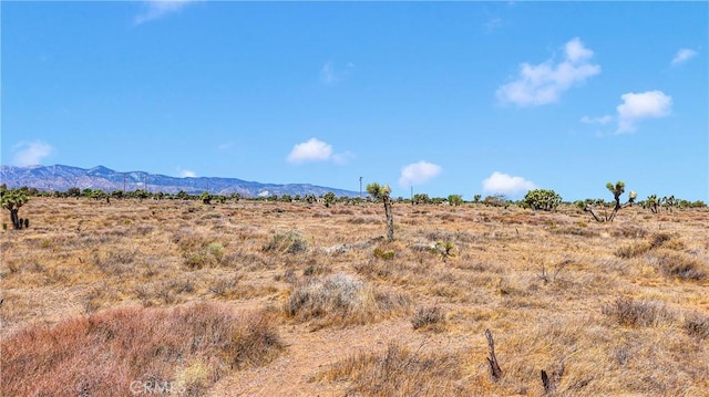 0 Beaver Ave, Phelan, CA 92371 - photo 11