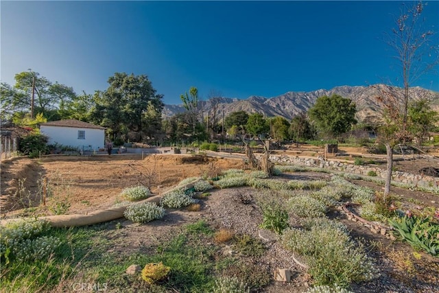 1017 Dolores Dr, Altadena, CA 91001 - photo 2