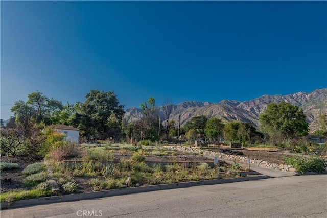 1017 Dolores Dr, Altadena, CA 91001 - photo 1