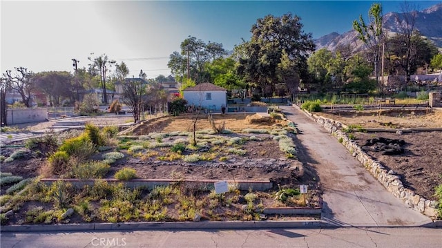 1017 Dolores Dr, Altadena, CA 91001 - photo 4