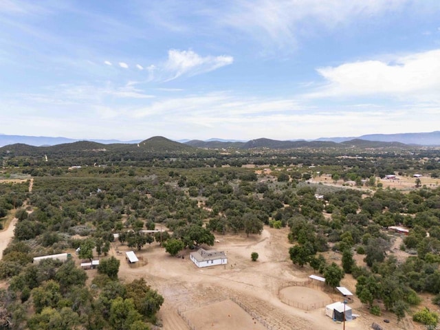 30578 Chihuahua Valley Rd, Warner Springs, CA 92085 - photo 40
