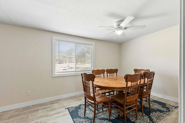 30578 Chihuahua Valley Rd, Warner Springs, CA 92085 - photo 19