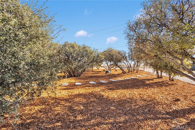 9098 Rattlesnake Rd, Phelan, CA 92371 - photo 51
