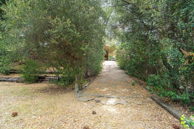 8516 Valley View Trl, Pine Valley, CA 91962 - view of yard