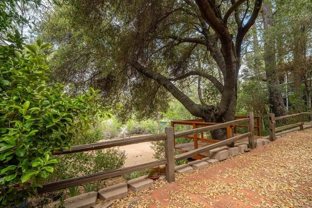 8516 Valley View Trl, Pine Valley, CA 91962 - view of yard