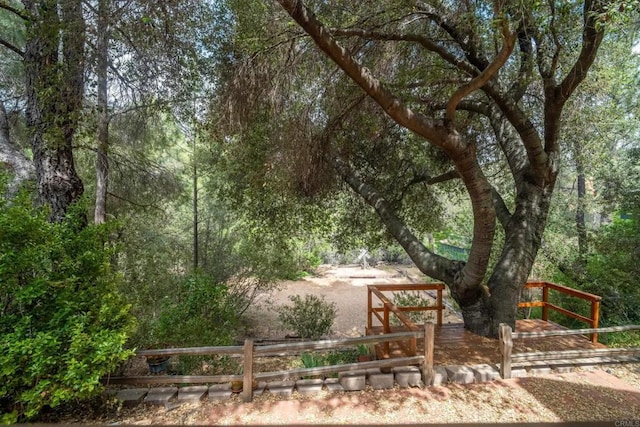 8516 Valley View Trl, Pine Valley, CA 91962 - view of yard