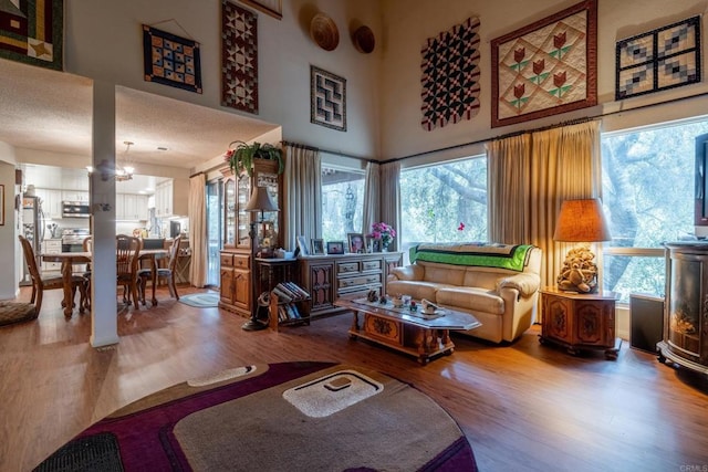 8516 Valley View Trl, Pine Valley, CA 91962 - living area with wood finished floors, healthy amount of natural light, and a high ceiling