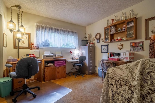 8516 Valley View Trl, Pine Valley, CA 91962 - home office featuring a textured ceiling and carpet flooring