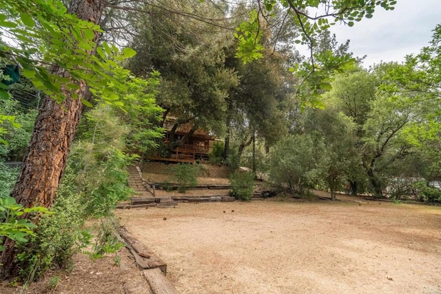 8516 Valley View Trl, Pine Valley, CA 91962 - view of yard