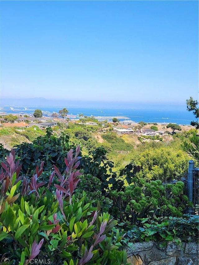2817 San Ramon Dr, Rancho Palos Verdes, CA 90275 - photo 47