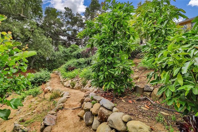240 Portal St, Oak View, CA 93022 - view of yard