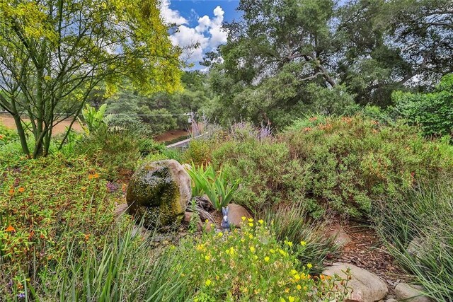 240 Portal St, Oak View, CA 93022 - view of nature